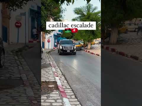 سيارات ليبيا في تونس الشقيقة سيارات ليبيا  
