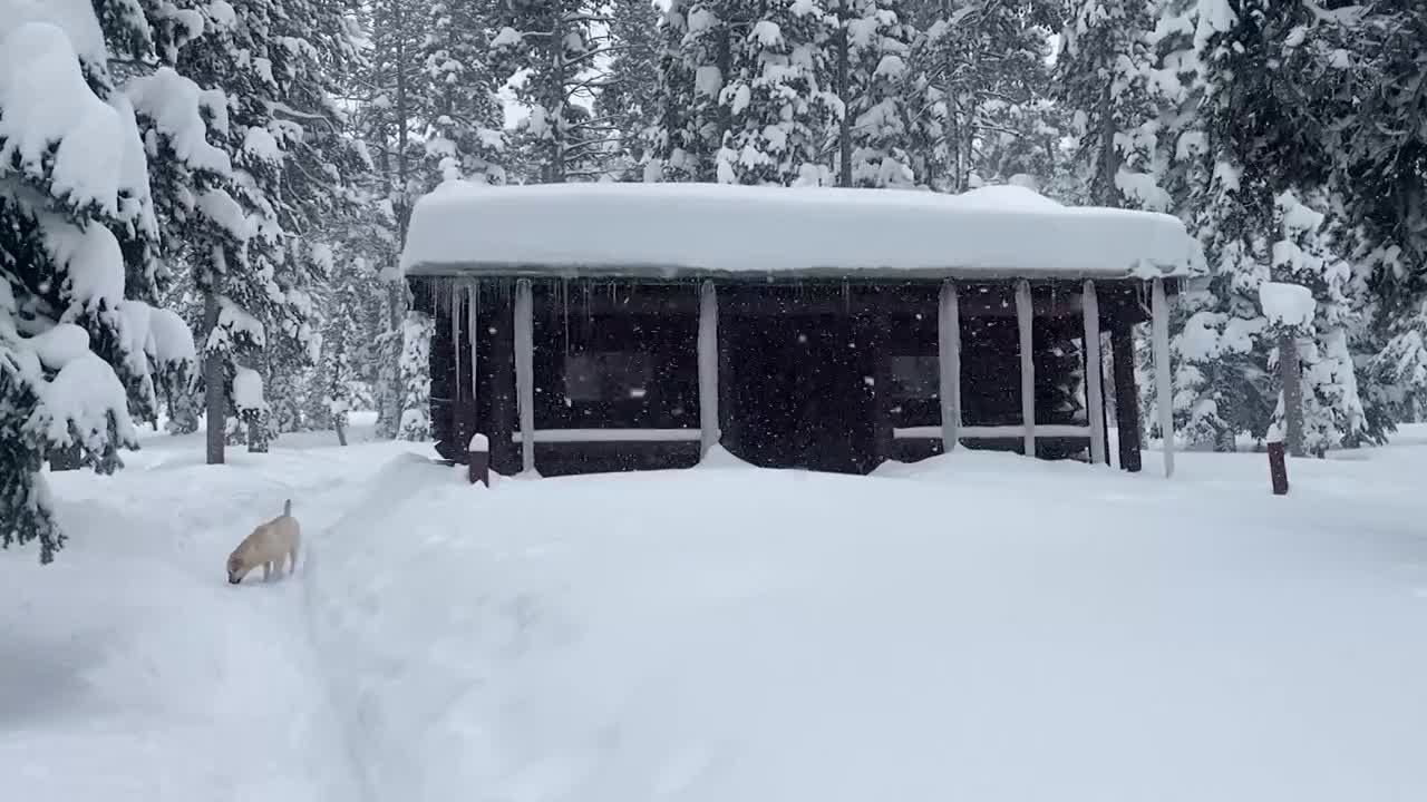 Several feet of snow in Central Montana - YouTube