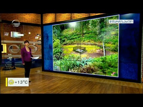 ადგილები, სადაც Covid-19-ს არ შეუღწევია