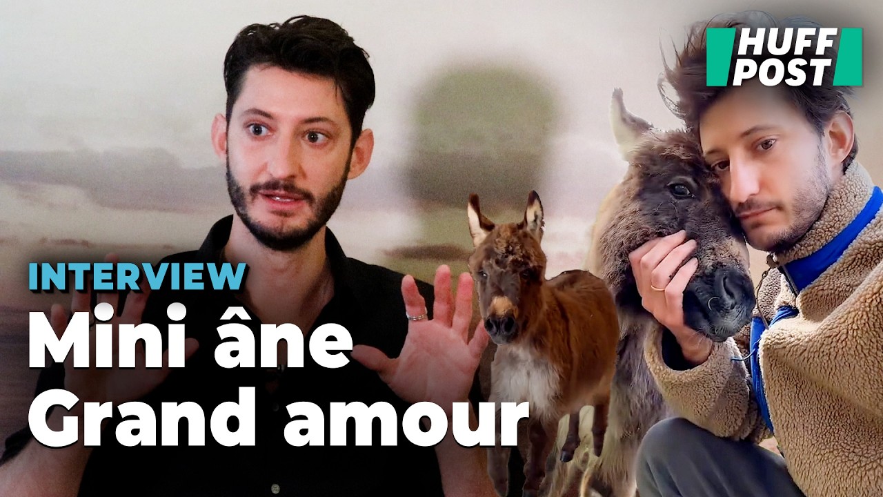 Pierre Niney nous a parlé de son âne miniature, un cadeau « très ...