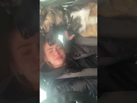 Настя Балинская в прямом эфире 02.11.2022.