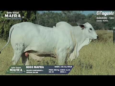 LOTE 07   MFRA 8003