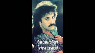 Gheorghe Țopa - Înveșnicește-mă (Oficial Audio)