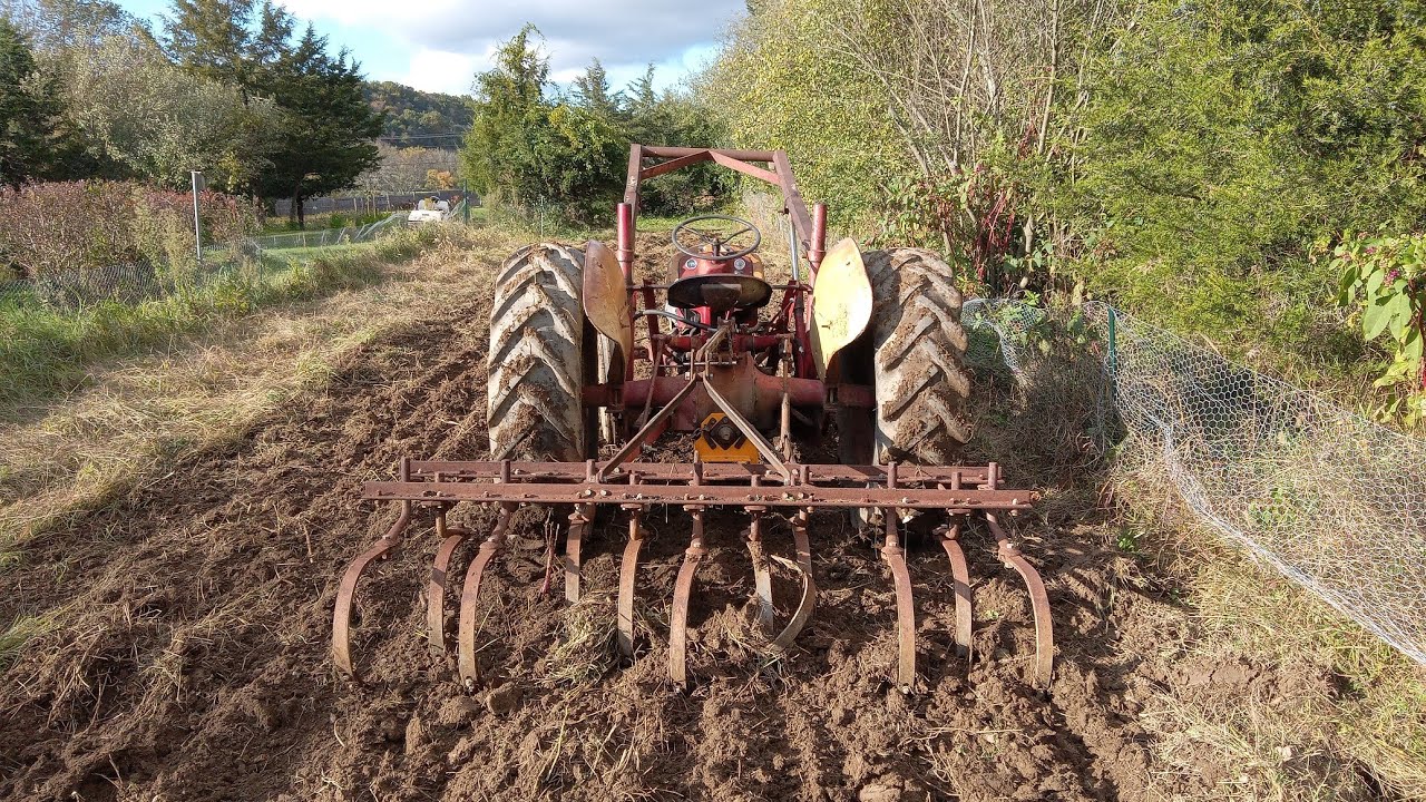 8N ford tractor cultivating with a Ferguson cultivator
