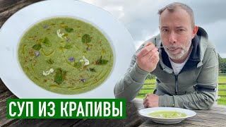 Вкусно, дешево, просто, полезно I Шеф-повар приготовил СУП ИЗ КРАПИВЫ