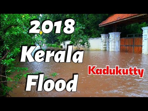 2018 Kerala Flood || Through the relics...