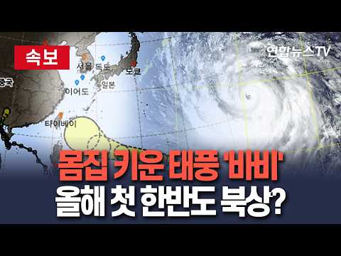 [🔴속보] 몸집 키우는 9호 태풍 '바비'…올해 첫 한반도 북상?｜9호 태풍 바비 '강도 5'로 강화 / 연합뉴스TV(YonhapnewsTV)