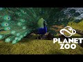 ИНДИЙСКИЙ ПАВЛИН  #32 PLANET ZOO ПРОХОЖДЕНИЕ