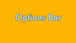 02_03 Options Bar - Autodesk Revit Architectural 2017