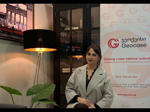 \"ჯეოქეისის\" მკვლევარის, ლიკა ჭიპაშვილის კომენტარი საქართველოს პრეზიდენტის ბრიუსელში ვიზიტის შესახებ