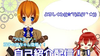 「【自己紹介】ついに・・・妹ちゃん登場！！自己紹介配信【Vtuber】」のサムネイル