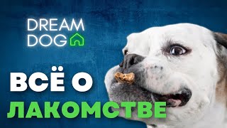 Все о лакомстве 🐶 Как выбрать лакомство для дрессировки собаки 🐕 Правила работы с поощрением щенка 🐩