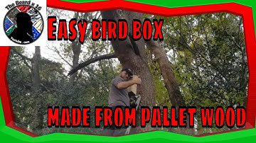 Easy Bird box made from pallet wood