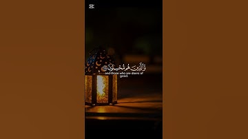 القارئ ماهر المعيقلي #قرآن #القرآن_الكريم #اكسبلور #لايك #ماهر_المعيقلي #تلاوة #تلاوة_خاشعة #تلاوت