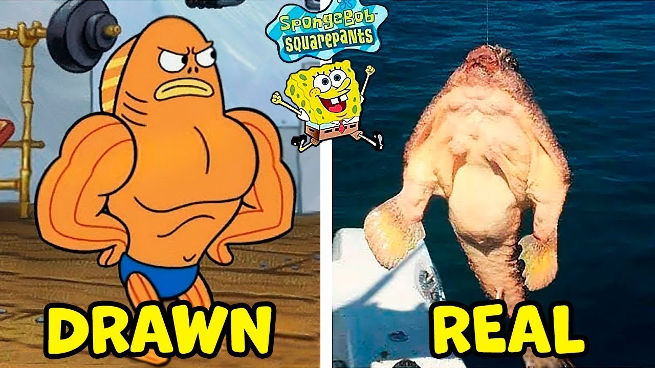 8 Sponge Bob Squarepants Characters In Real Life Youtube