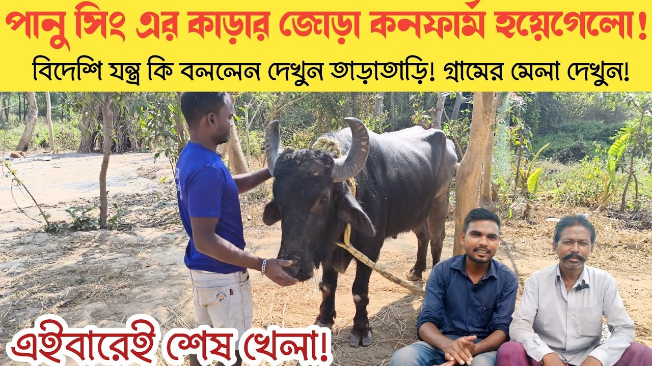 পানু সিং এর আসরে জোড়া কনফার্ম হয়েগেলো।। লড়াইয়ের আগেই হাইভোল্টেজ সাক্ষাৎকার।।