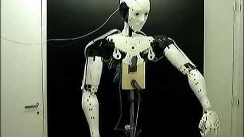 3D Printed Humanoid Robot - InMoov Open Source