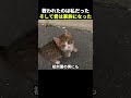 救われたのは、私だった。