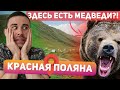 Красная Поляна: поход на Бзерпинский карниз. Что нужно знать? 🐻😱