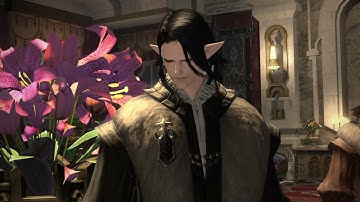 FINAL FANTASY XIV_Haurchefant