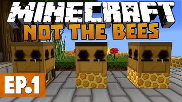Minecraft Not The Bees - So Many Bees! #1 [Modded Skyblock]