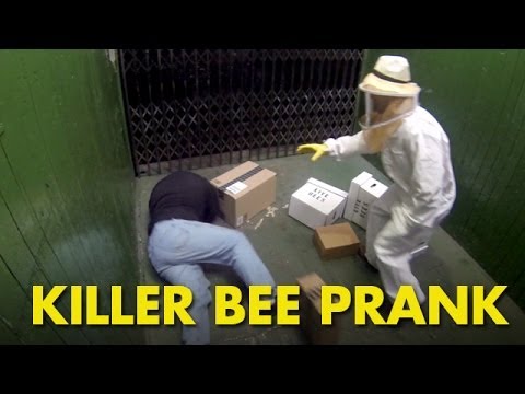 killer-bee-prank---from-blackboxtv