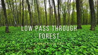 Cinematic FPV Flying Low Through Spring Forest – 4K Nature Flight