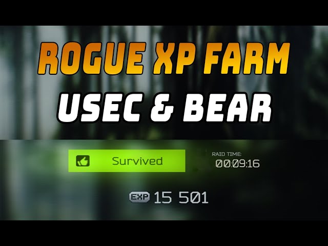 HOW I FARM LIGHTHOUSE ROGUES! (So Much XP!) 