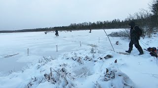 МОНСТРЫ на жерлицы и удочки Ловля ротана со льда Рыбалка зимой на 2021 22