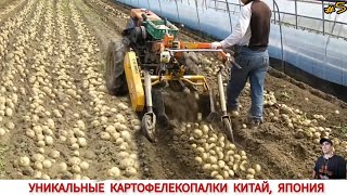 :    ,   / HOW POTATOES ARE DIGGED IN CHINA AND JAPAN