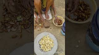 old grandmother fruit harvesting #indian recipe