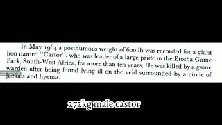 large male lion weight from different regions of Africa