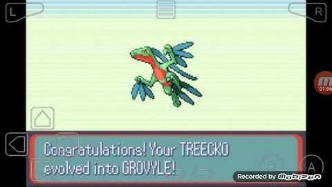 Treecko evolve into Grovyle