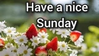 Good morning sunday images  !! Good morning wallpapers