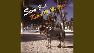 Video thumbnail of "Sam Bush - A Better Man"