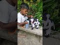 গরু জল খাচ্ছে #viralvideo #funny #trending #youtubeshorts #shorts #viral #vlog #toys #yt #boni
