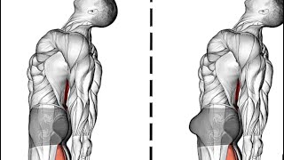 kegel exercise foreman اقوى تمارين كيجل #power  للرجال