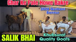 Ghar Ke Pale Howe Shandaar Bakre Aur Bannur At SALIK BHAI | 2026 Qurbani Sheep Goats Bhiwandi