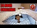 OVERNIGHT IN 1,000,000 PACKING PEANUTS | 24 Hour Challenge