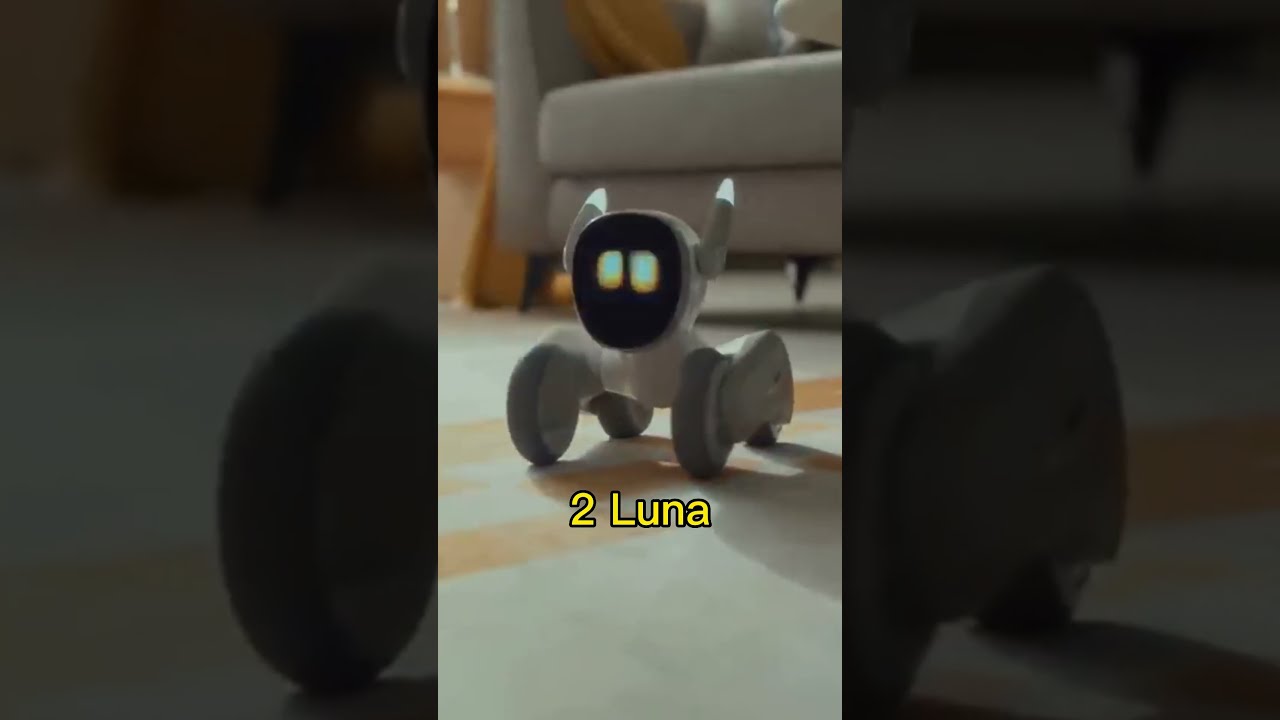 TOP 5 AI Personal Robots For Your Home In 2023 Which One Will You Buy 
