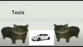 This Is A Tesla