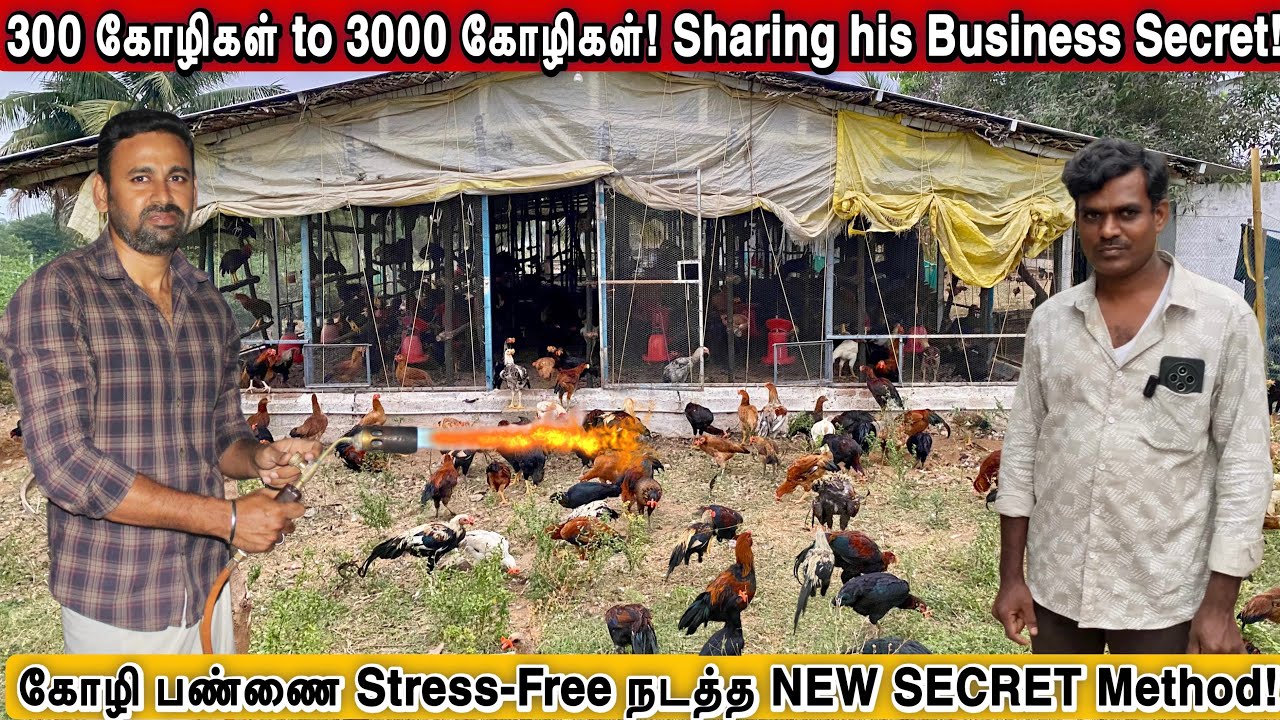 🚀 “300 கோழி வைத்து ஆரம்பிச்சவர்… இன்று 3000! SECRET Story!”