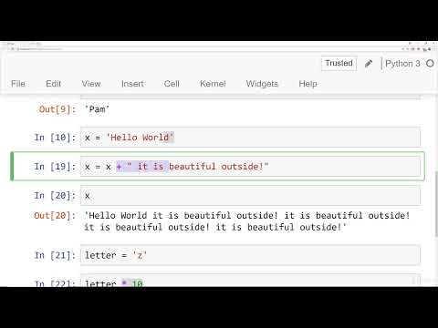 String Properties and Methods - Python Bootcamp From Zero to Hero