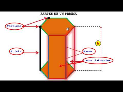 Video: ¿Qué significa la palabra octangular?