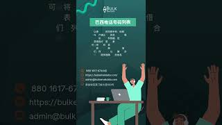 巴西电话号码列表 用于社交媒体营销