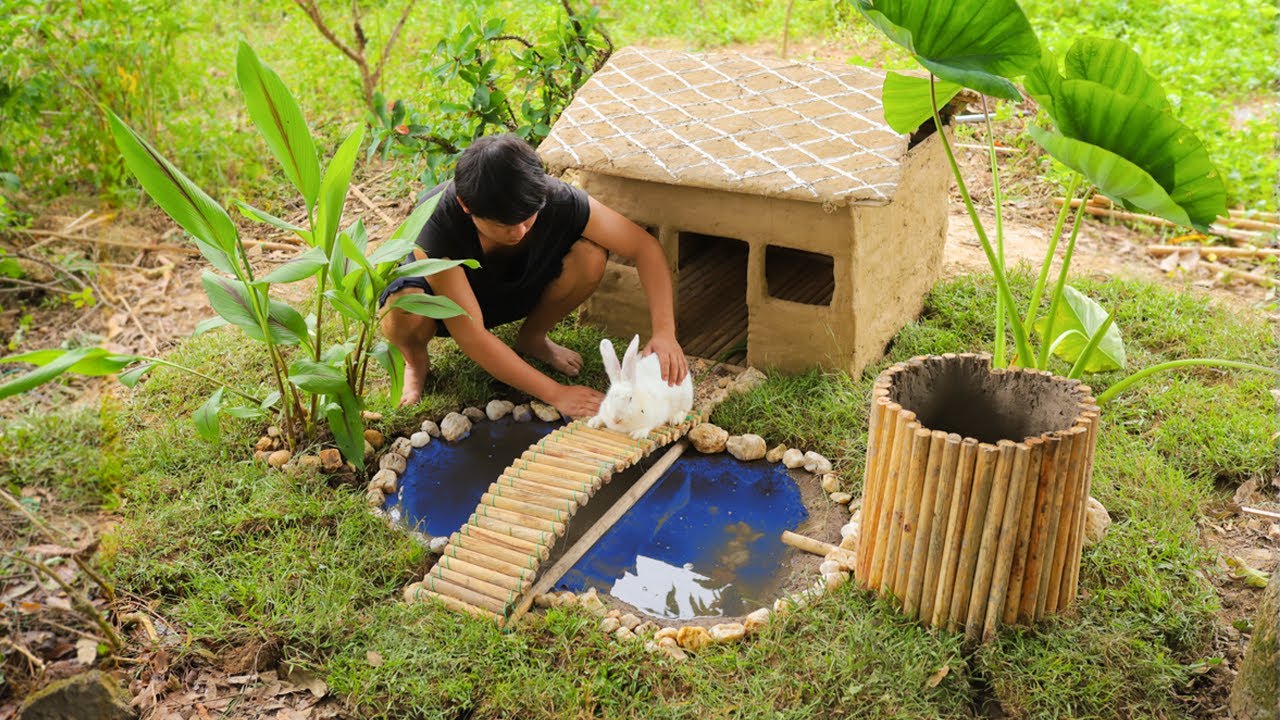 Rescue Poor Rabbits From Abandoned And Building Mud House Rabbit And