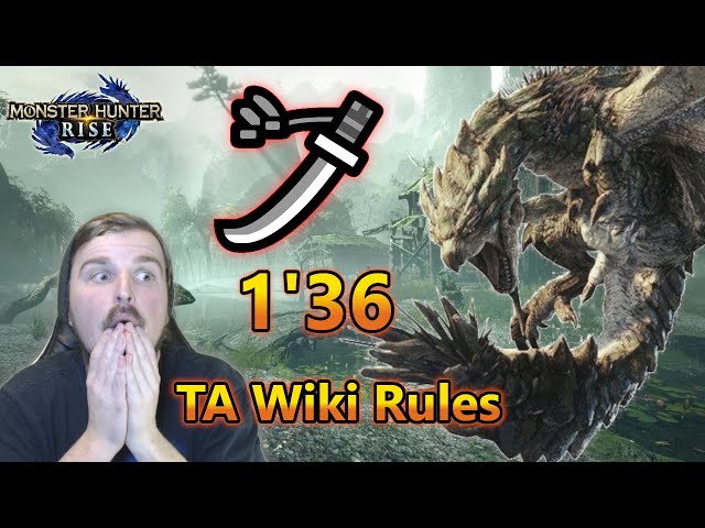 Heart Of A Hero TA Wiki Rules Speedrun Longsword Monster Hunter Rise 