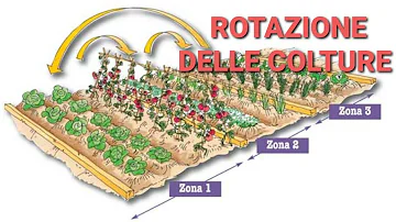 In che cosa consiste la rotazione triennale delle colture?