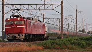 JR東日本 EF81-97牽引 回9830レ カシオペア紀行 返却回送 JR高崎線 新町～神保原 区間