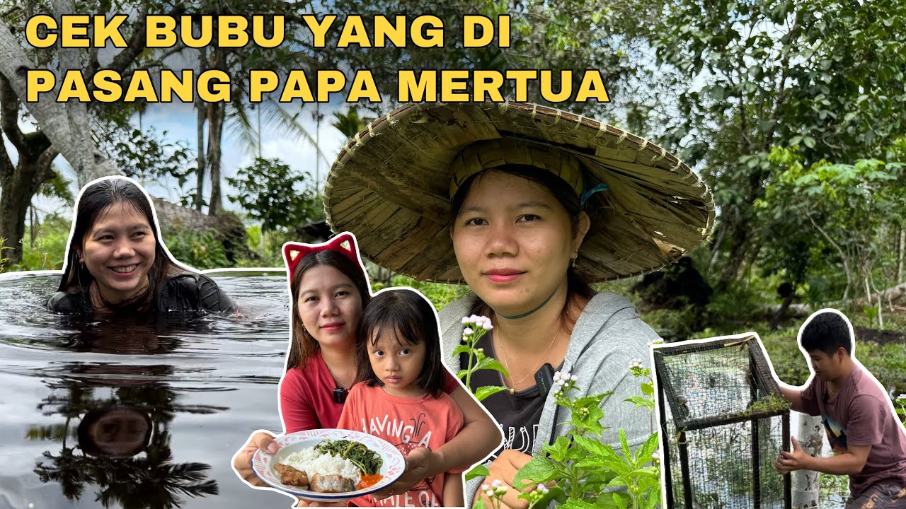 LIHAT KEADAAN SAYURAN DI KEBUN PAPA MERTUA YANG KENAK BANJIR